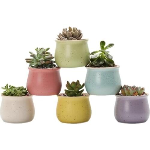 Ceramic Planter Fleshy Plant Pot Flower Plant Vase 6 Colors Simple Pure Color Micro Landscape Home Garden Balcony Decoration