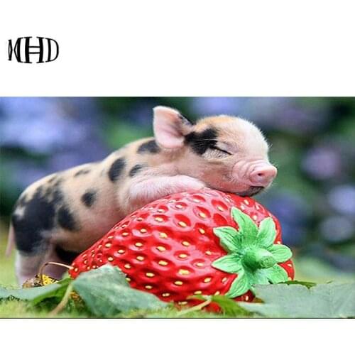 New 5D DIY diamond painting piggy full round 3d diamond embroidery diamond cross stitch mosaic crystal painting decoration