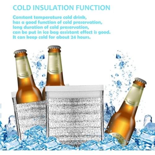 Cooler 5Pcs/10Pcs Thermal Insulated Bags Multifunctional Thicken Aluminum Foil Portable Lunch Cooler Bag for Kitchen