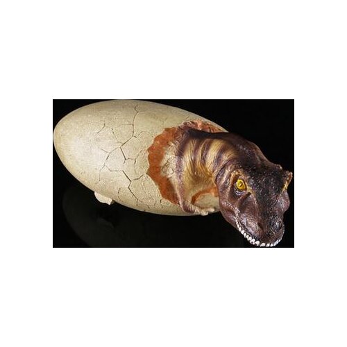 Skull head resin handicraft dinosaur egg dinosaur fossil handicraft up personalized gift culpture statue