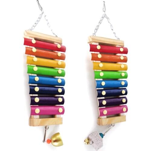 Chicken Xylophone Toy Durable Wonderful Gameplay for Hens Parrots