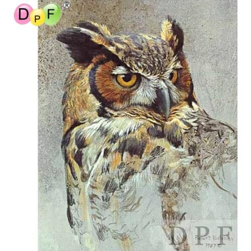 DPF diamond embroidery Seriousness owl diamond painting cross stitch full square rhinestone diamond mosaic kit home decor crafts