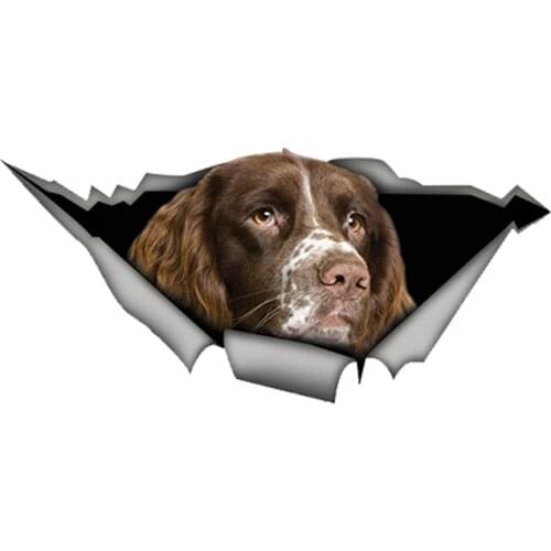 Springer Spaniel Car Sticker Torn Metal Decal Reflective Stickers Waterproof 3D Car Styling Pet Dog Decals 13cm X 6cm