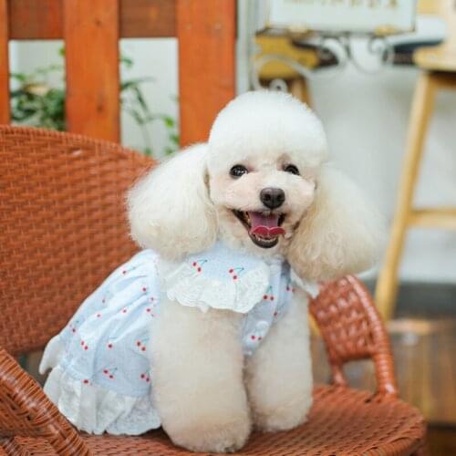 Summer Pet Dog Clothes Dog Dress for Small Dog Cat Skirt Cherry Bubble Skirt Corgi Chihuahua Yorkie Bichon Teddy Poodle Pug Ropa
