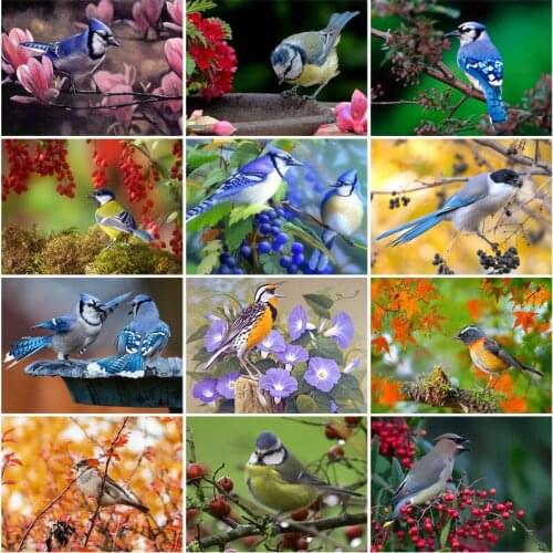 Diy Diamond Painting Jaybird Animal Cross Stitch Living Room Decoration Painting Mosaic Picture Full Diamond 5D Wall Art