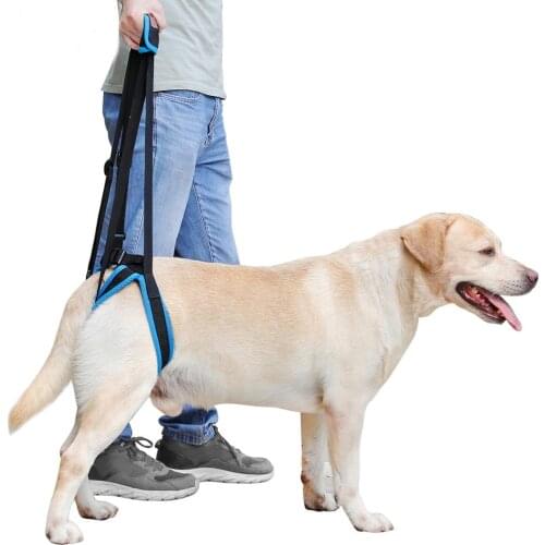 Dog Lift Harness for Back Legs Adjustable, Lifting Harness for Hind Legs to Help Weak Legs Standing Aid Assist Harness