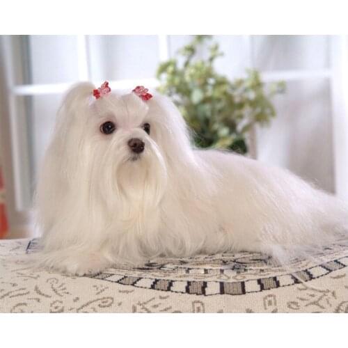 DIY 5d Diamond Painting completely Maltese dog Diamond Embroidery Accessories Needleworks mosaic Cross stitch Z1130