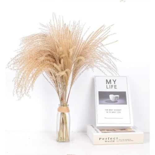 10/20/30 Pcs Small Pampas Grass Decor Natural Dried Reed Wedding Decoration Natural Village Reed Art Dried Flower Home Ornament