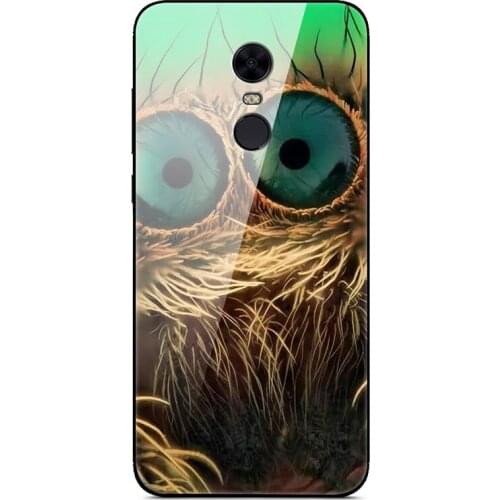 Case For Xiaomi Redmi 5 Plus Tempered Glass Case Back Phone Cover With Black Silicone Bumper Series 3