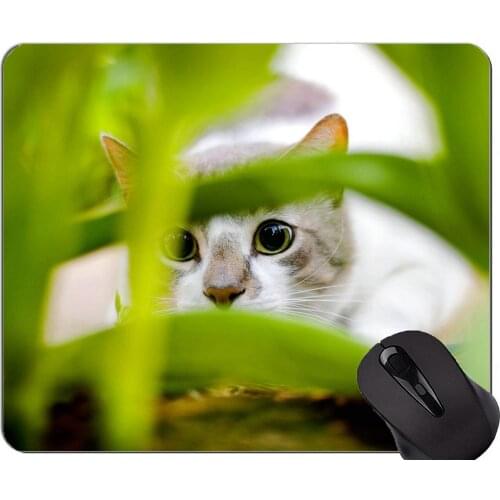 Gaming Mouse Pad Custom,Warm heart animal cat Non-Slip Rubber Base Mousepad