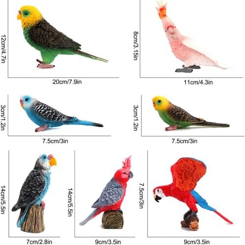 7Pcs Home room Desktop Decoration Classic Bird Parrot Animal Toys Figurines action figures toy set kids learning education toys