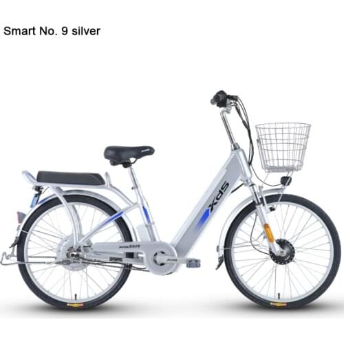 24 Inch Aluminum Alloy Bicycle 350W Motor 48V With Lithium Battery Disc Brake Men And Women Bike