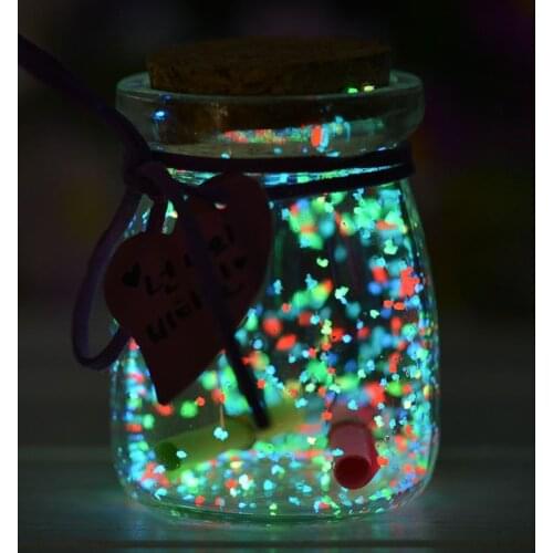 10g FluoresceGlow in the Dark Luminous Party DIY Bright Paint Star Wishing Bottle Fluorescent Particles Decoration Gift