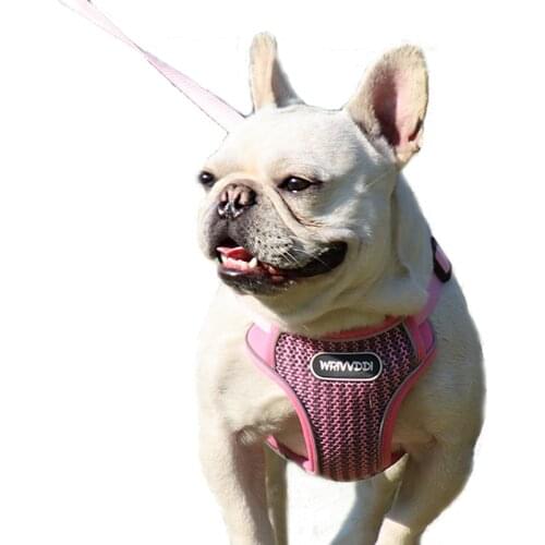 Dog Harness Leash Set Breathable Puppy Vest Various Size Pet Suitable Ajustable Fully Wrapped Reflective Material Customiza