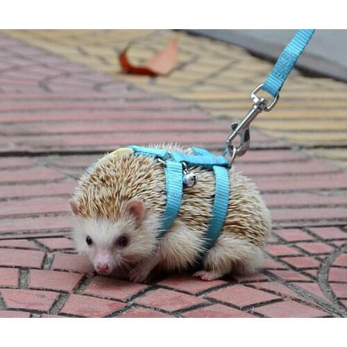 NEW Adjustable hedgehog Harness for Training Playing traction rope High Quality Free Shipping