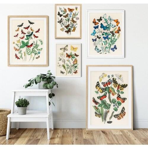 Vintage Butterfly Plants Caterpillar Specimen Posters Canvas Painting Wall Art Print Picture for Living Room Interior Home Decor