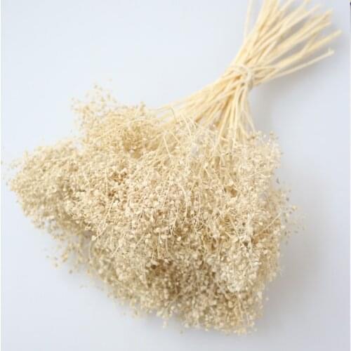 80g/Bouquet,Natural Fresh Preserved Babysbreath flower,Immortal Dried Flowers gift for Wedding Party Home Decoration accessories