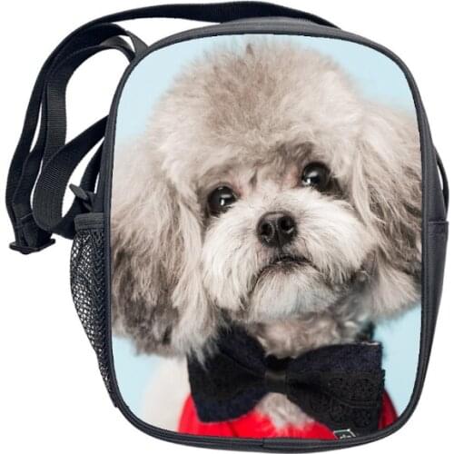 Childrens one shoulder bag Cartoon dog printed zero purse primary school children leisure one shoulder bag for boys and girls