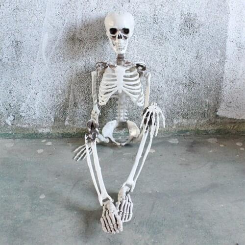 40cm Halloween Skeleton Full Body Halloween Skeleton with Movable Joints for Halloween Decoration