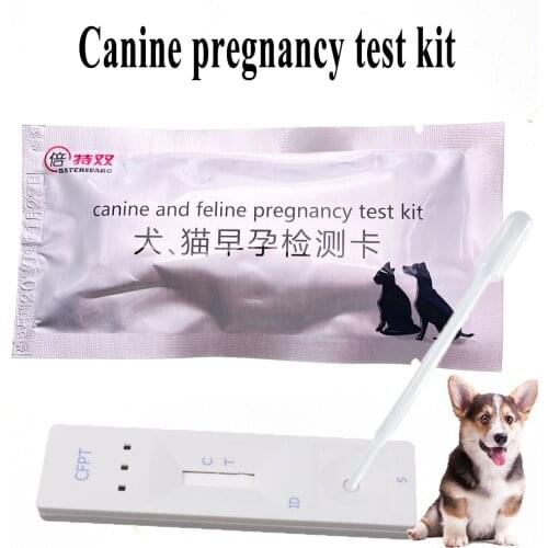 AINBO Products For Cats