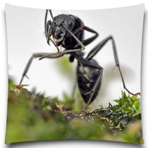 16 18 20 inches Big Black Ant Animals style Cushion Covers Insect Blue Yellow Throw Pillows Cover for Home car sofa Decor