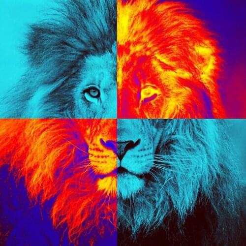 Kexinzu 5D Diy Full Round Square Stone Drill Diamond Painting Animals lion Cross Stitch Mosaic Diamond Embroidery Gift 163