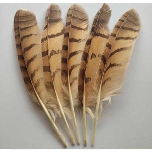 Wholesale 50pcs Beautiful 12-14inch/30-35cm Natural Pheasant Feathers Craft Making Party Headdress Hats Decoration
