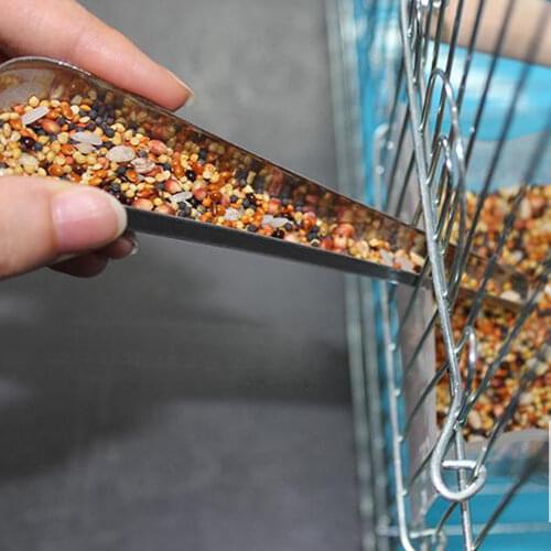 Bird Stainless Steel Food Adding Spoon Add food spoon to bird cage Food adding accessories Small Pet Feeding Tool 2 pcs