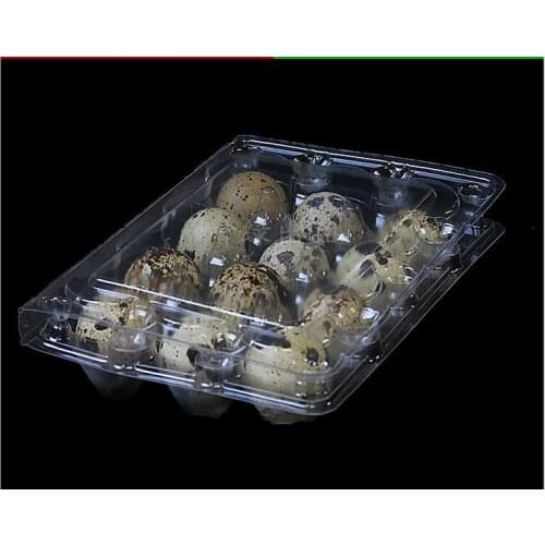 12 Holes Quail Egg Containers Plastic Egg Boxes D28mm/H39mm 1000pcs/lot