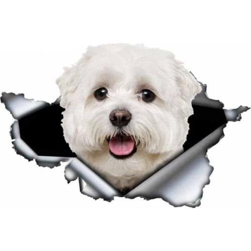 A0107# 13 cm/17 cm 3D Self-adhesive Decal Cute Maltese Dog Car Sticker Waterproof Auto Decors on Bumper Rear Window Laptop