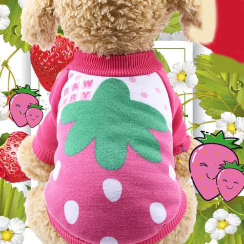 Autumn Winter Pet Sweater Fruit Print Dog Clothes Fashion Clothes Pet Dog Cat Fleece Clothes Cat Cute Durable Coat Clothes hot