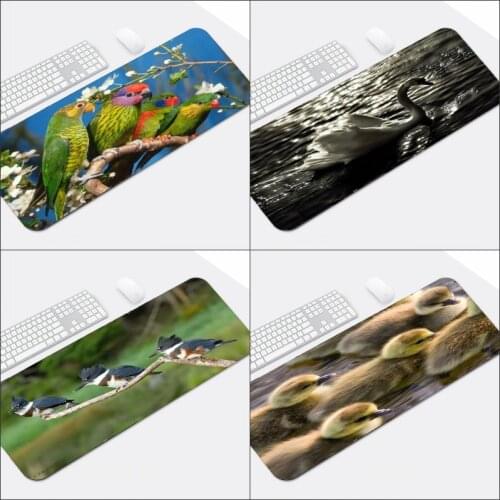 Mairuige Hot Selling Birds Style Pattern Mousepad Support Diy Large Size 400x800x2MM Small Young Birds Parrots Scenery Table Mat
