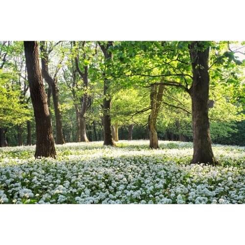 Spring Forest Tree Flower Nature Scenery Baby Portrait Backdrop Vinyl Photography Background For Photo Studio Photophone Shoot