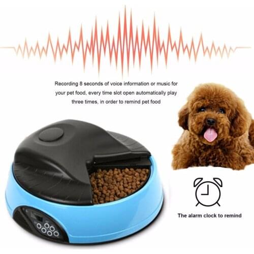 Pet 4 Meals Auto Feeder Food Trays Bowl Dispenser Setting Fixed Time Non-toxic Container Recording Reminder dog supplies
