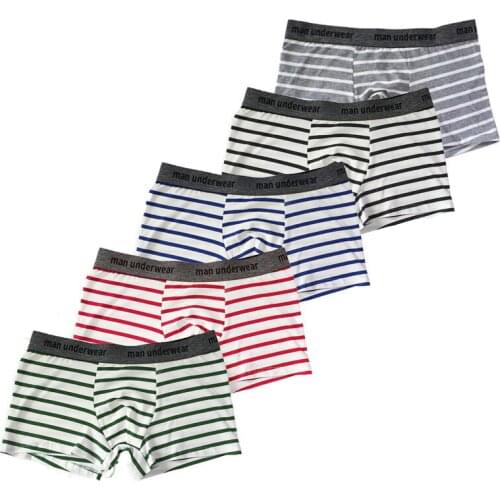 5Pcs Cotton Male Panties Mens Underwear Soft Breathable Man Boxer Stripe Underpants Comfortable Men Shorts Sexy Lingerie