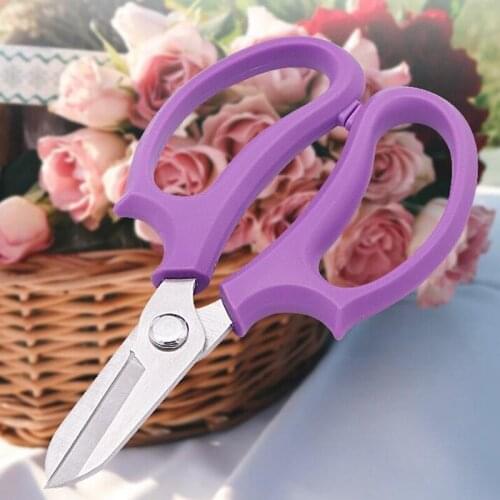 Stainless Steel Wide-Head Branch And Leaf Shears Pruning Potted Flower Shop Flowers And Branches Household Floral Scissors