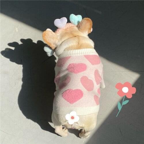 Sweet Small Dog clothes Cat Bulldog Pug Dog sweater Teddy Schnauzer Autumn Winter Pet Clothing Dog Outfit