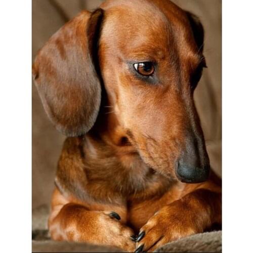 Animal Dog DIY Cross Stitch Embroidery 11CT Kits Needlework Craft Set Printed Canvas Cotton Thread Home Decoration On Sale