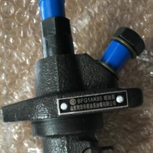 Free Shipping BFG1AK85 Fuel injection pump Injector Pump Suit for Changfa Changchai and any Chinese Brand