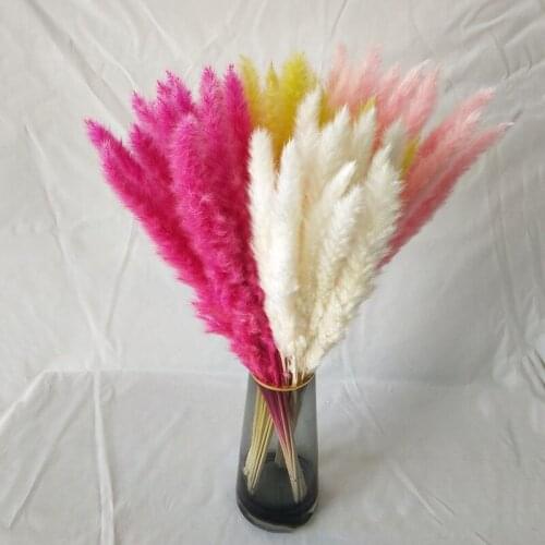 15 Branch1Bunch Natural Dried Flowers Small Reeds for Home Decoration Pampas Grass Reed Wedding Backdrop Decor Photography Props