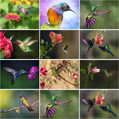 DIY 5D Diamond Painting Full Round Square Resin Mosaic Diamond Embroidery Cross Stitch Kits Colorful Smallest Bird Hummingbird