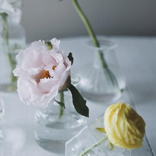 Vase Transparent for Decor Centerpiece Glass Vase Rose Tabletop Terrarium Glass Containers Desktop Tabletop Vases for Flowers