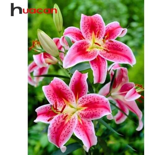 Huacan 5D Diamond Painting New Arrivals Lily Full Diamond Mosaic Embroidery Flowers Beaded Pictures Decorative Paintings