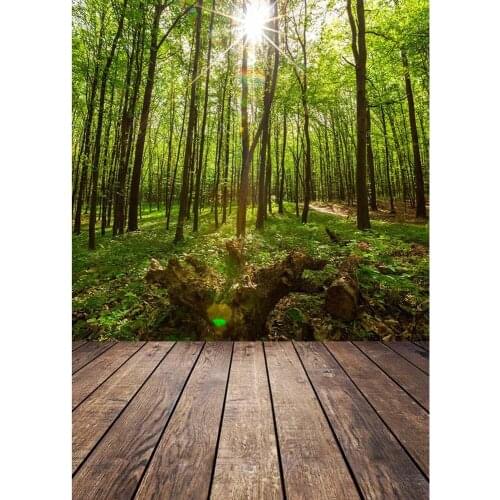 Forest Sunlight Wooden Floor Vinyl Cloth Photography Backgrounds Portrait Photographic Backdrops Photo Studio Photobooth