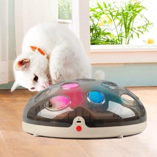Interactive Funny Toys for Cat Electric Feather Exercise Chaser Training Cat Toy Rechargeable Maglev Bouncing