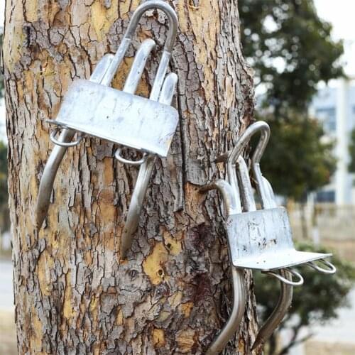 New Tree Climbing Safe Tool Pole Climbing Spikes For Hunting Observation Picking Fruit 304 Stainless Steel Climbing Tree Shoes