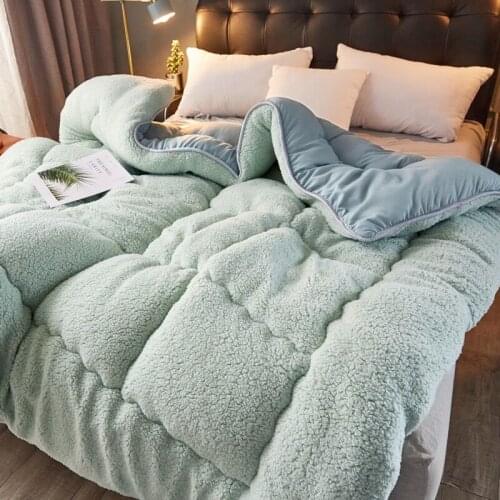 Thick Warm Lamb Cashmere quilt winter Super warm blanket single double quilt spring autumn comfortable soft plush comforter core