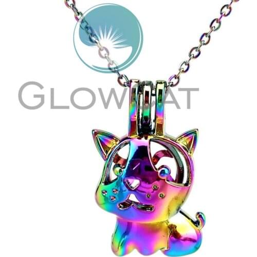 CC910 Rainbow Puppy Dog Beads Cage Pendant Perfume Diffuser Aroma Stone Pearl Cage Locket Necklace Valentines Day