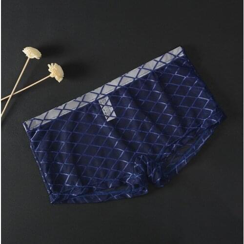Men Sexy Underwear Shorts Bulge Pouch Mesh Ultra-thin Transparent Boxers See Through Shorts Underpants Boxers Men Underwear 2021