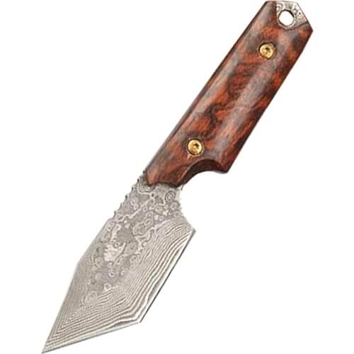 High Quality Damascus Fixed Blade Knife Damascus Steel Tanto Blade Snake Wood / Horn Handle CK006